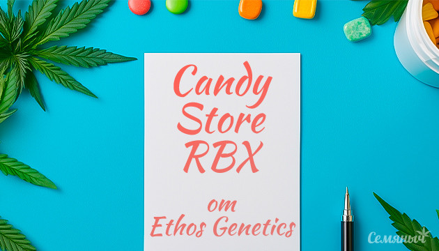 Гроурепорт сорта Candy Store RBX fem от Ethos Genetics
